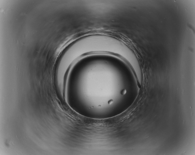 X0000102220344200808081321