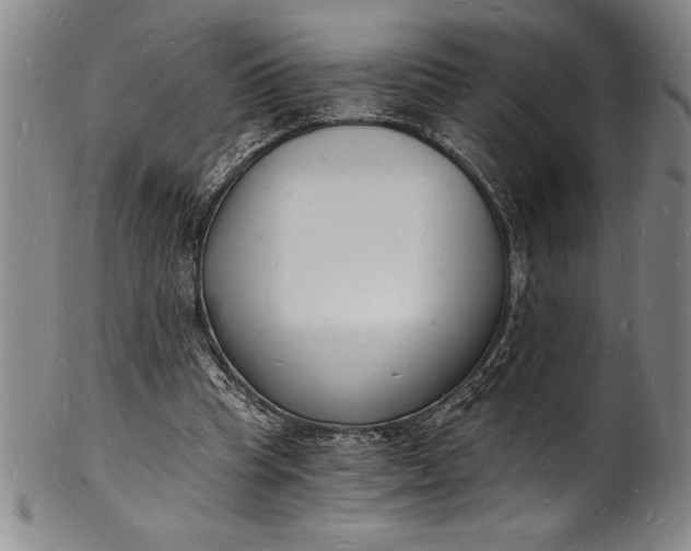 X0000102220345200808081321