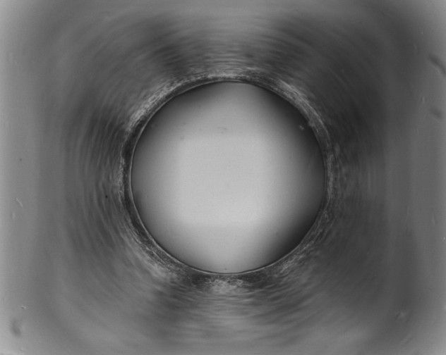 X0000102220346200808081321