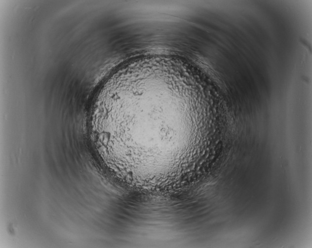 X0000102220347200808081321