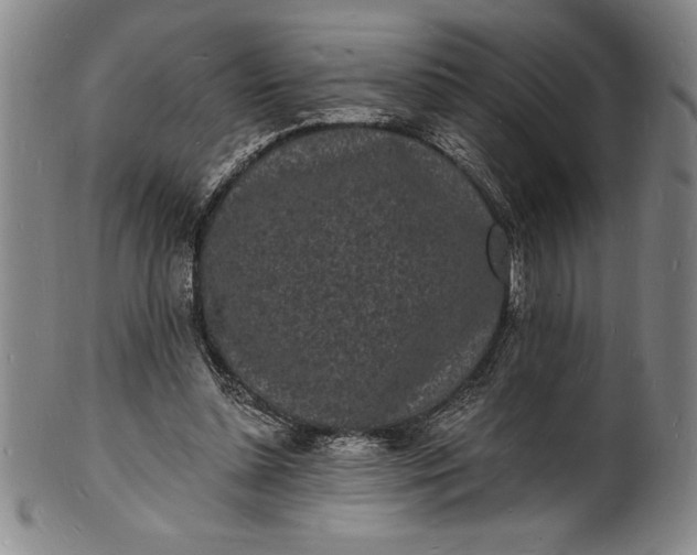 X0000102220348200808081321