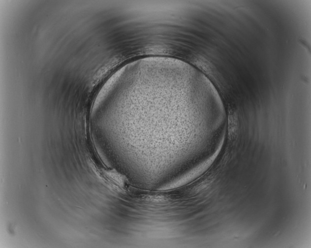 X0000102220349200808081321