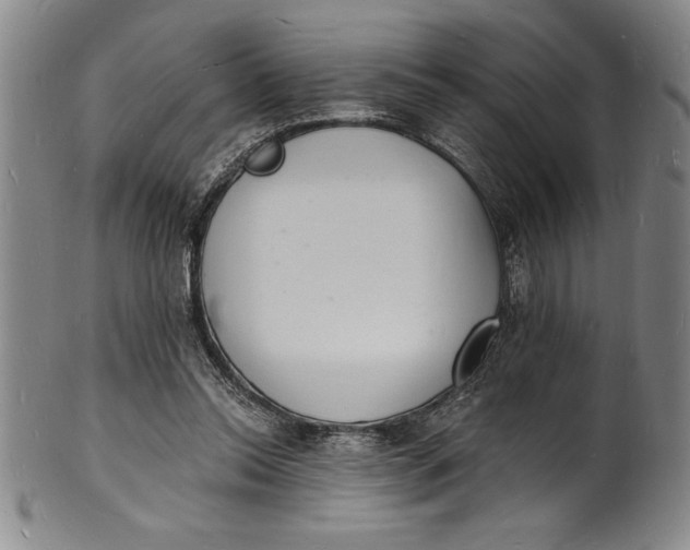 X0000102220350200808081321