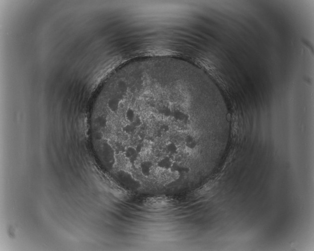 X0000102220351200808081321