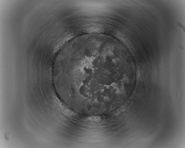 X0000102220353200808081321