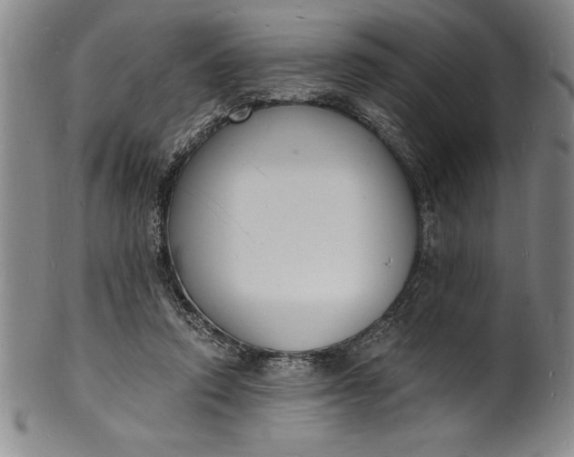 X0000102220354200808081322