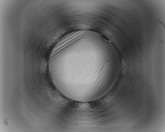 X0000102220355200808081322