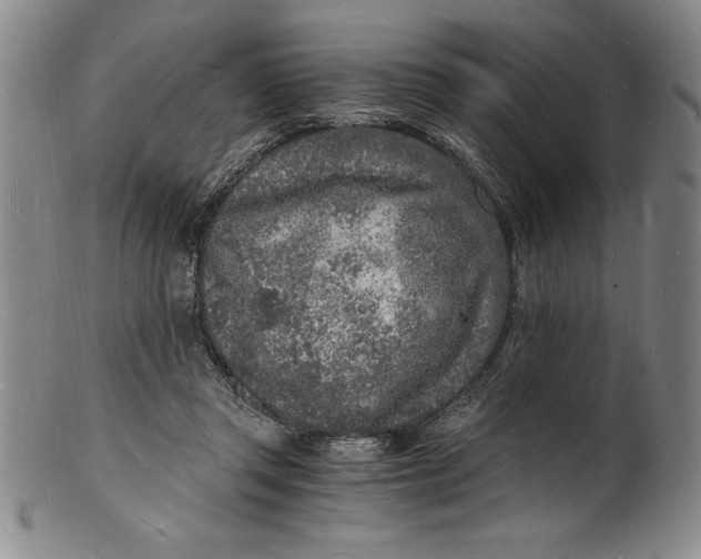 X0000102220357200808081322