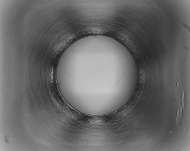 X0000102220358200808081322