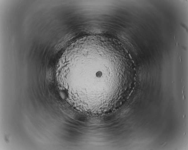 X0000102220359200808081322