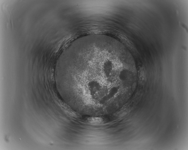 X0000102220361200808081322