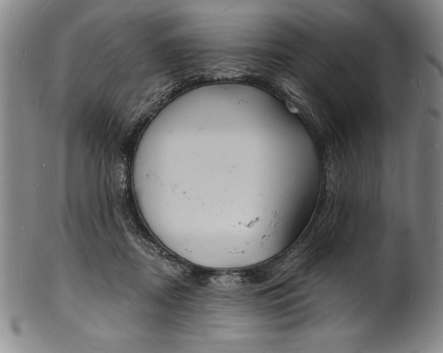 X0000102220362200808081322