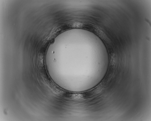 X0000102220363200808081322