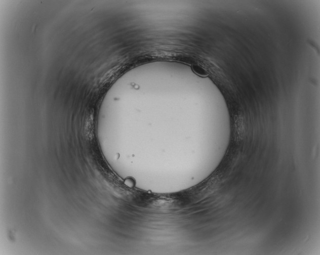 X0000102220364200808081322