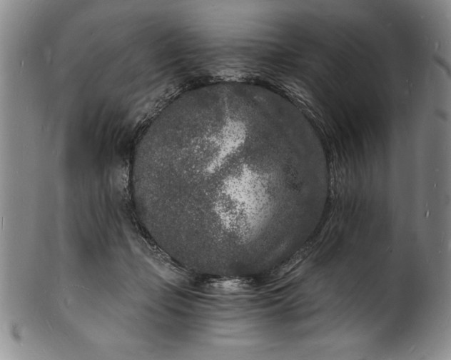 X0000102220365200808081322