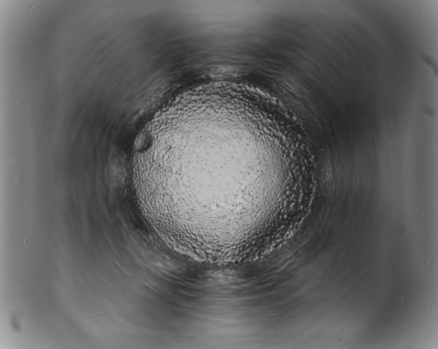 X0000102220367200808081322