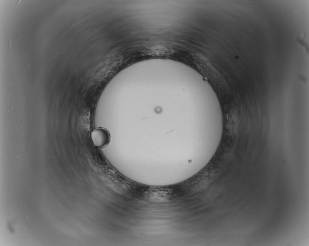 X0000102220368200808081322