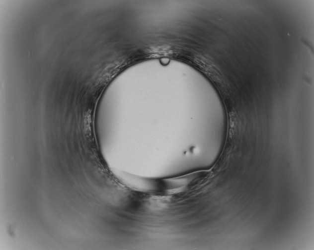 X0000102220369200808081322