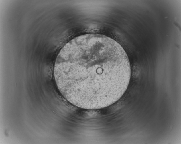 X0000102220370200808081322