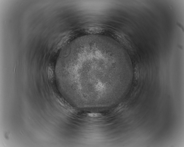 X0000102220371200808081322