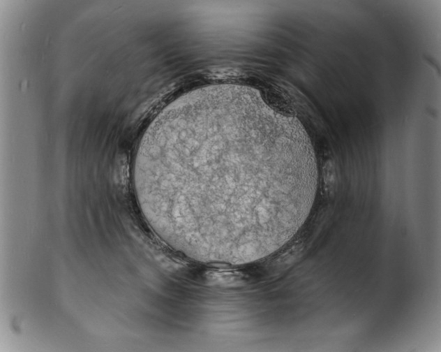 X0000102220372200808081322