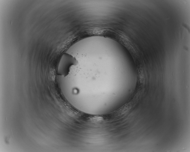 X0000102220374200808081322