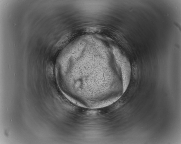 X0000102220375200808081322