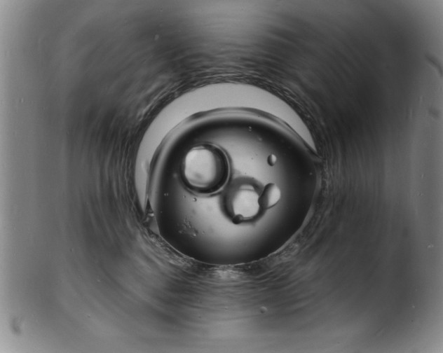 X0000102220376200808081322