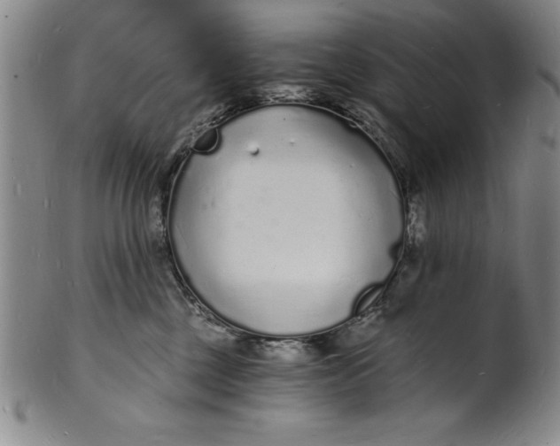 X0000102220377200808081322