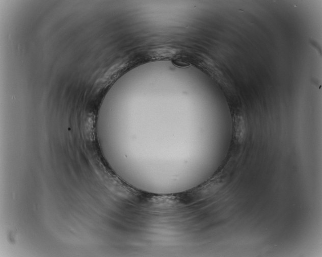 X0000102220378200808081322