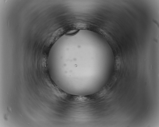 X0000102220379200808081322