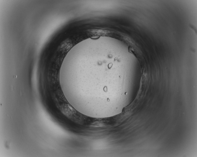 X0000102220381200808081322