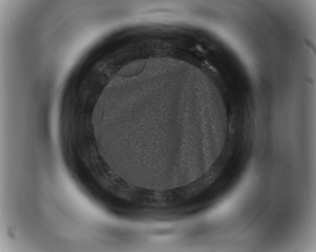 X0000102220383200808081322