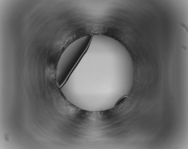 X0000102220384200808081322