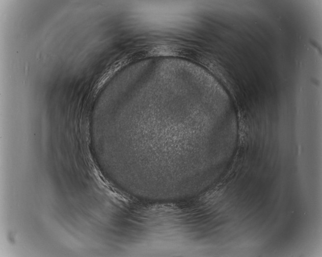 X0000102220386200808081321