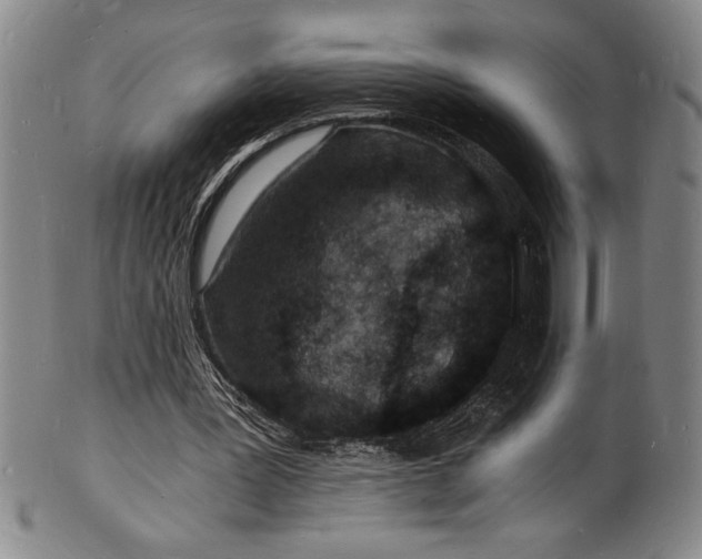 X0000102220387200808081321