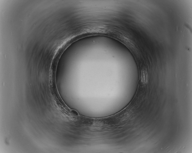 X0000102220388200808081321