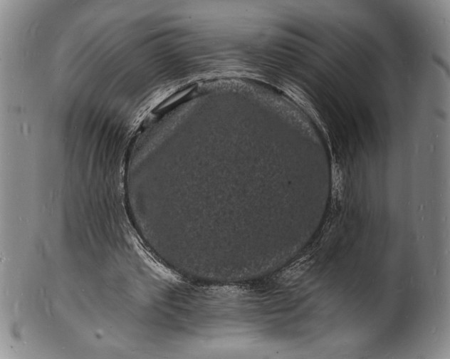 X0000102220389200808081321