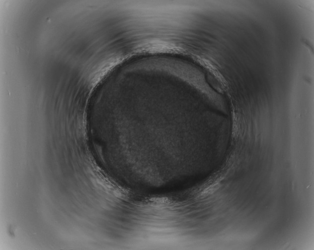 X0000102220391200808081321