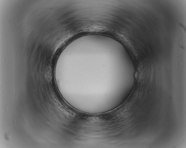 X0000102220392200808081321