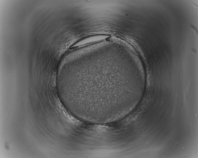 X0000102220393200808081321