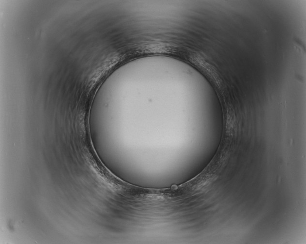 X0000102220394200808081321