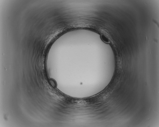 X0000102220395200808081321