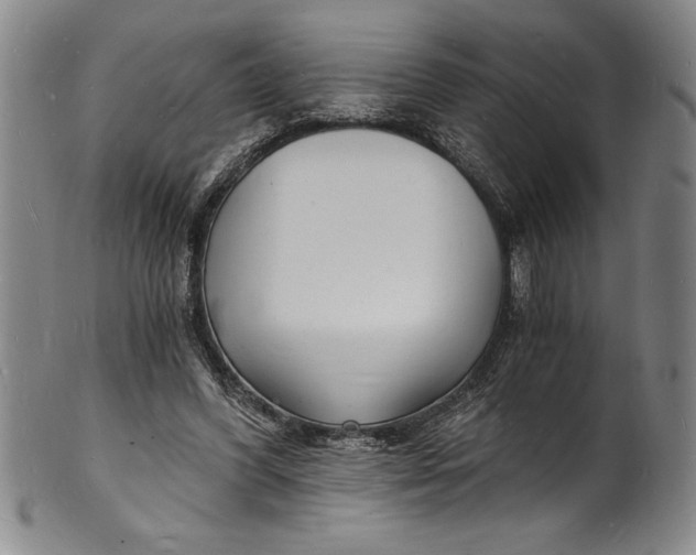 X0000102220396200808081321