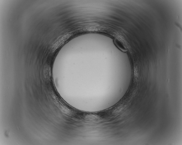 X0000102220397200808081321