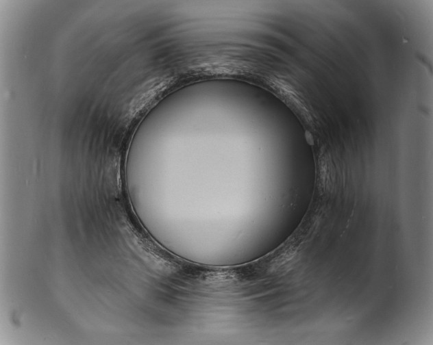 X0000102220398200808081321