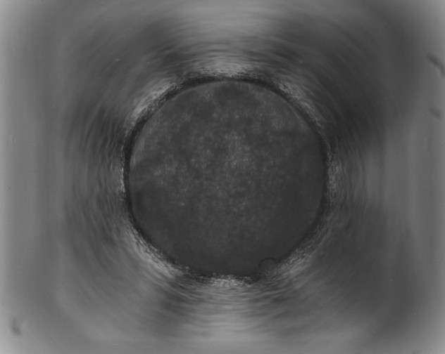 X0000102220399200808081321