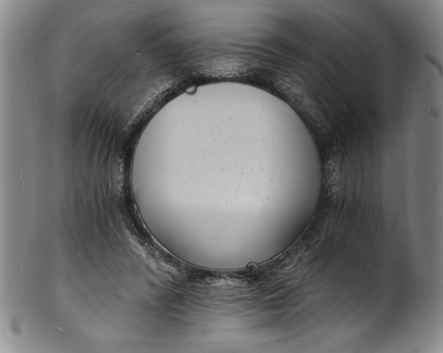 X0000102220400200808081321