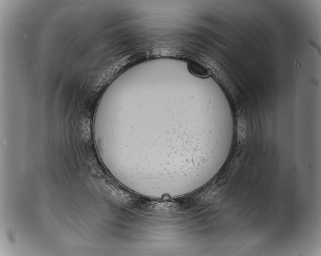 X0000102220401200808081321