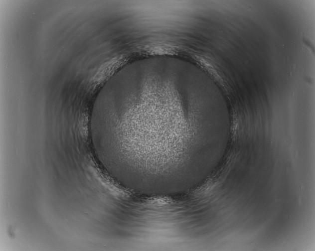 X0000102220402200808081321